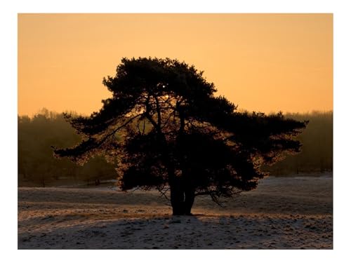 Puzzles 1500 Teile Puzzle Impossible Geschicklichkeitsspiel-Baum,Schnee,Altes Weib,Niedergang,Abend 87x57cm von THISIT