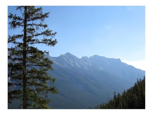 Puzzles 1500 Teile Puzzle Impossible Geschicklichkeitsspiel-Berge,Fichten,Bäume,Hang,Himmel 87x57cm von THISIT