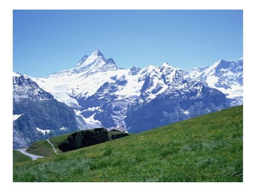 Puzzles 1500 Teile Puzzle Impossible Geschicklichkeitsspiel-Berge,Schnee,Steine,ow,Hang,Spur,Gras 87x57cm von THISIT