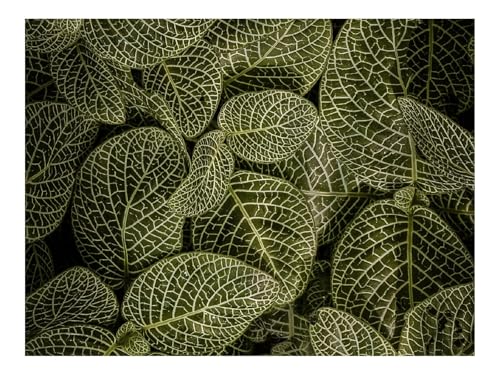 Puzzles 1500 Teile Puzzle Impossible Geschicklichkeitsspiel-Blätter,Luftaufnahme,Stamm,Grün 87x57cm von THISIT