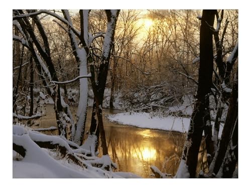 Puzzles 1500 Teile Puzzle Impossible Geschicklichkeitsspiel-Fluss,Holz,Sonne,Spiegelung 87x57cm von THISIT