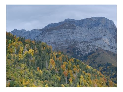 Puzzles 1500 Teile Puzzle Impossible Geschicklichkeitsspiel-Gebirge,Bäume,Wälder,Hang,Natur 87x57cm von THISIT