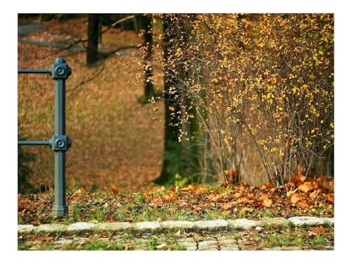 Puzzles 1500 Teile Puzzle Impossible Geschicklichkeitsspiel-Herbst,Steine,Sträucher,Säule,Weg,Blätter 87x57cm von THISIT