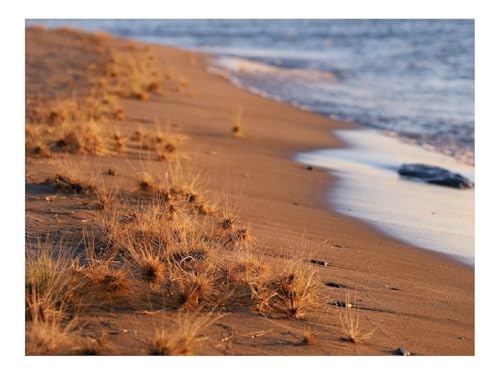 Puzzles 1500 Teile Puzzle Impossible Geschicklichkeitsspiel-Küste,Strand,Gräser,Meer,Horizont 87x57cm von THISIT
