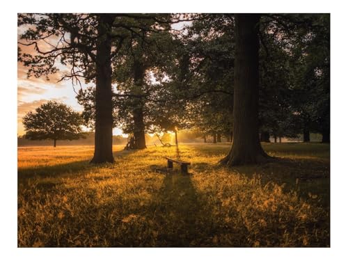 Puzzles 1500 Teile Puzzle Impossible Geschicklichkeitsspiel-Morgendämmerung,Wälder,Bank 87x57cm von THISIT