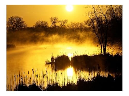 Puzzles 1500 Teile Puzzle Impossible Geschicklichkeitsspiel-Niedergang,Orange,Nebel 87x57cm von THISIT