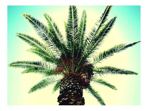 Puzzles 1500 Teile Puzzle Impossible Geschicklichkeitsspiel-Palme,Zweige,Himmel,Licht 87x57cm von THISIT