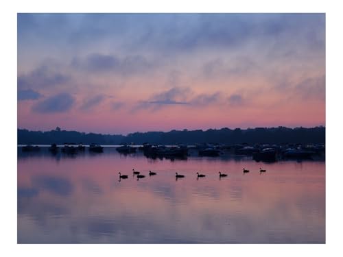 Puzzles 1500 Teile Puzzle Impossible Geschicklichkeitsspiel-Schwäne,Vögel,See,Abenddämmerung,Bäume,Himmel 87x57cm Puzzles 1500 Teile Puzzle Impossible Geschicklichkeitsspiel-Schwäne,Vögel,See,Abenddämmerung,Bäume,Himmel 87x57cm von THISIT