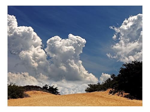 Puzzles 1500 Teile Puzzle Impossible Geschicklichkeitsspiel-Wüste,Vegetation,Himmel 87x57cm von THISIT