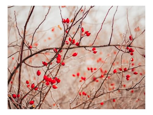 Puzzles 1500 Teile Puzzle Impossible Geschicklichkeitsspiel-Zweige,Beeren,rot 87x57cm von THISIT