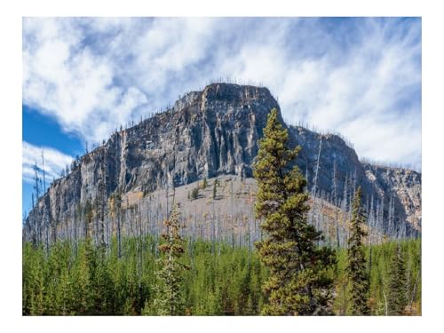 Puzzles 500 Teile Puzzle Impossible Geschicklichkeitsspiel-Berg,Fluss,Bäume,Landschaft,Natur 52x38cm Puzzles 500 Teile Puzzle Impossible Geschicklichkeitsspiel-Berg,Fluss,Bäume,Landschaft,Natur 52x38cm von THISIT