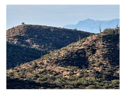 Puzzles 500 Teile Puzzle Impossible Geschicklichkeitsspiel-Berge,Hügel,Kakteen,Gras 52x38cm Puzzles 500 Teile Puzzle Impossible Geschicklichkeitsspiel-Berge,Hügel,Kakteen,Gras 52x38cm von THISIT