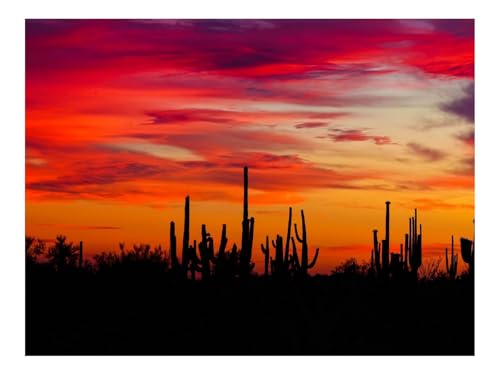 Puzzles 500 Teile Puzzle Impossible Geschicklichkeitsspiel-Kakteen,Sonnenuntergang,Silhouetten 52x38cm von THISIT