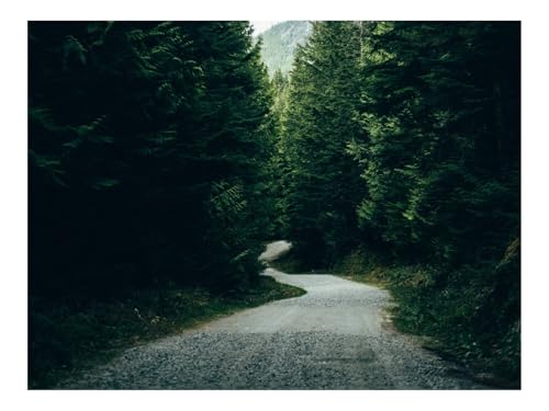 Puzzles 500 Teile Puzzle Impossible Geschicklichkeitsspiel-Straße,Bäume,Berge,Wälder,Natur 52x38cm von THISIT