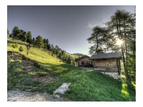 Puzzles 500 Teile Puzzle Impossible Geschicklichkeitsspiel-Struktur,Gras,Bäume,HDR 52x38cm von THISIT