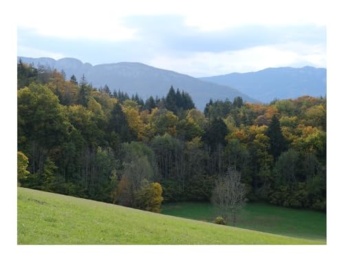 Puzzles 500 Teile Puzzle Impossible Geschicklichkeitsspiel-Wälder,Bäume,Hügel,Landschaft,Grün 52x38cm von THISIT