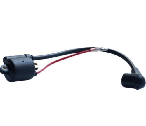 TIAJTHYD Zündspule fit ZENOAH G260PUM 26cc Gas Marine Motor for RC Boot Teile TIAJTHYD Zündspule fit ZENOAH G260PUM 26cc Gas Marine Motor for RC Boot Teile von TIAJTHYD