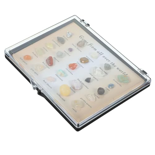 TIDTALEO 1Satz Dekorative Steinornamente Aus Natürlichen Mineralien Unregelmäßige Steine Für Tischdeko Kreative Gestaltung Materialien Für Einzigartige Raumgestaltung TIDTALEO 1Satz Dekorative Steinornamente Aus Natürlichen Mineralien Unregelmäßige Steine Für Tischdeko Kreative Gestaltung Materialien Für Einzigartige Raumgestaltung von TIDTALEO