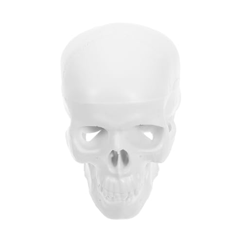TIDTALEO Mini Schädelmodell aus Anatomisches Kopf Skelett für Medizinische Lehre Realistische Mini Dekoration für Zeichnen Halloween Displays Langlebig Leicht von TIDTALEO