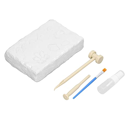 National Geographic Kit, 1 Set Natürliches Erz -Ausgrabungs -Kit Gemstone Dig Kit 12 Natürliche Erze mit Ausgrabungswerkzeugen für Kinder DIY -Lernen und Spaß National Geographic Kit, 1 Set Natürliches Erz -Ausgrabungs -Kit Gemstone Dig Kit 12 Natürliche Erze mit Ausgrabungswerkzeugen für Kinder DIY -Lernen und Spaß von TIKATARER