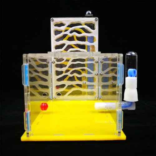 TIKATARER Ameisenfarm, Ameisenfarmen für Kinderformicarium mit Ameisennest -Acrylkolonie Ameisenburg Ameisen für Ameisengel Ameise Farm für Farm Fütterungsgebiet (Yellow) von TIKATARER