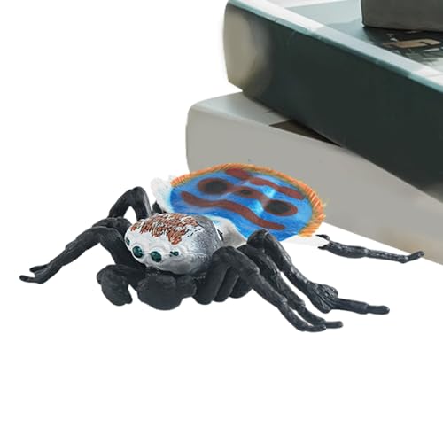 Realistisches Spinnenspielzeug | Spinnenspielzeug | Spinnenfiguren, Lernspielzeug für Jungen und Mädchen, Spinnenaktionsmodell, Realistische Tiere für Halloween, Partybedarf Tileze Realistisches Spinnenspielzeug | Spinnenspielzeug | Spinnenfiguren, Lernspielzeug für Jungen und Mädchen, Spinnenaktionsmodell, Realistische Tiere für Halloween, Partybedarf Tileze von TILEZE