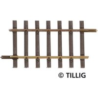 TILLIG 85129 H0 Gerades Gleis, Länge 50 mm TILLIG 85129 H0 Gerades Gleis, Länge 50 mm von TILLIG