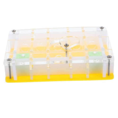 TINEASUR 1 Satz Acryl Ameisenbeobachtungsbox Ant Nest für Ameisenhaltung Transparentes Design Fördert Wissenschaftliches Lernen TINEASUR 1 Satz Acryl Ameisenbeobachtungsbox Ant Nest für Ameisenhaltung Transparentes Design Fördert Wissenschaftliches Lernen von TINEASUR