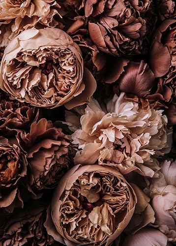1000 Teile Puzzle, Pfingstrosen Erwachsenenpuzzles, Puzzle 1000 Teile für Erwachsene, Retro-Blumen, Puzzles für Erwachsene, 1000 Teile, Familienspiele, fertige Größe 50 x 70 cm von TISHIRON