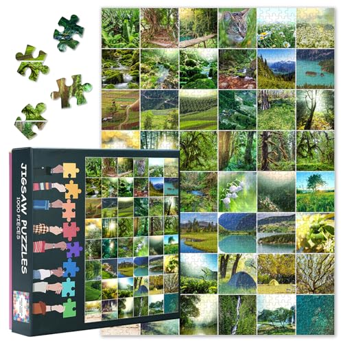 1000 Teile Puzzle für Erwachsene - Botanische Oase: Grüne Pflanzen & Tropische Blattkunst mit Premium Puzzle Board, Herausforderndes Erwachsenenpuzzle, 70x50 cm 1000 Teile Puzzle für Erwachsene - Botanische Oase: Grüne Pflanzen & Tropische Blattkunst mit Premium Puzzle Board, Herausforderndes Erwachsenenpuzzle, 70x50 cm von TISHIRON