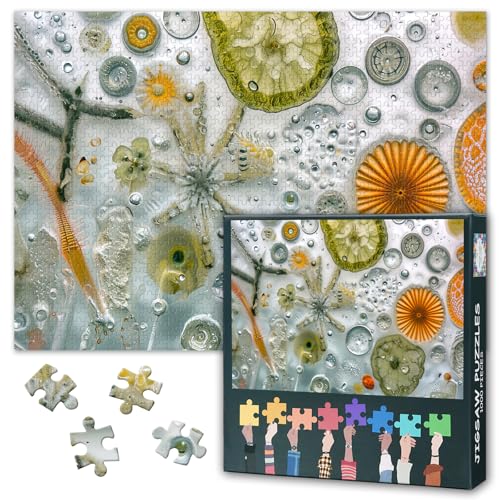 1000 Teile Puzzle für Erwachsene - Mikroskopische Wasserorganismen, Abstrakte Wissenschaftskunst, Lehrreiches Biologie-Puzzle(70x50 cm) von TISHIRON