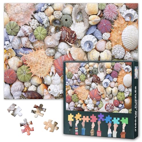 1000 Teile Puzzle für Erwachsene – Skandinavische Muscheln Küstenstrand-Motiv Ozean-Muschelsammlung Premium-Puzzlespiel (27,5x19,7 Zoll) von TISHIRON