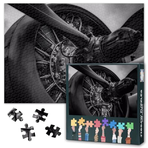 1000 Teile Puzzle für Erwachsene Vintage Flugzeug Kunst Retro Propellerflugzeug Nahaufnahme Wand Deko Klassisches Aviation Puzzle Geschenk für Piloten und Sammler 27,5 x 19,7 Zoll von TISHIRON