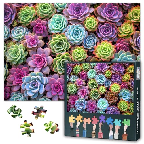 1000 Teile Puzzle für Erwachsene und Familie: Farbenfroher Sukkulenten Garten Pflanzen Kunst Puzzle | Staubfreies Sammlerstück Familienspaß und Entspannung | 70 x 50 cm 1000 Teile Puzzle für Erwachsene und Familie: Farbenfroher Sukkulenten Garten Pflanzen Kunst Puzzle | Staubfreies Sammlerstück Familienspaß und Entspannung | 70 x 50 cm von TISHIRON