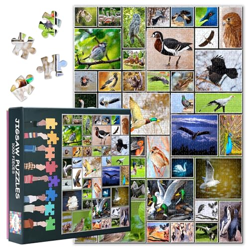 1000 Teile Vogelmosaik Puzzle - Bunte Federcollage Kunst & Premium Puzzle Board, Ornithologisches Kunstpuzzle, 70x50 cm von TISHIRON