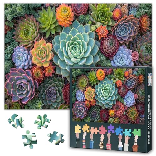 1000-teiliges Puzzle für Erwachsene – EIN Farbenfrohes Kartonpuzzle mit Sukkulenten – Familienaktivität und tolles Geschenk für Senioren und Freunde – Fertige Größe: 70 cm x 50 cm von TISHIRON