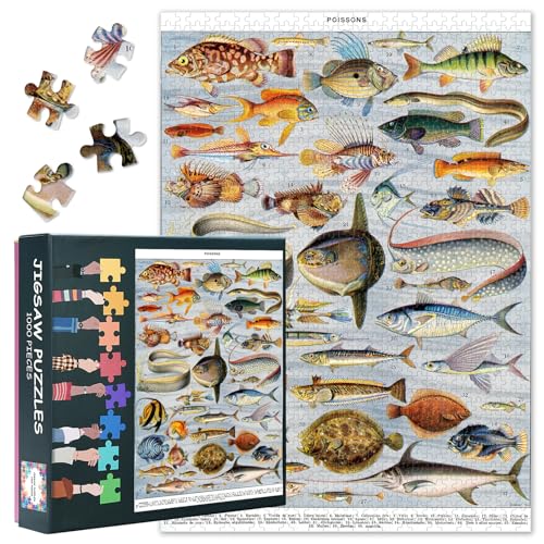 Alle Arten von Fisch-Puzzles, Tiefsee-Fisch-Puzzles für Erwachsene 1000 Stück, Marine Fische 1000 Stück Puzzle mit versteckten Bildern Herausforderung Familie Aktivität Spiele Puzzle 27.5" x 19.6" von TISHIRON