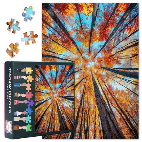 Herbstwald Puzzle 1000 Teile Erwachsene - Majestätische Baumlandschaft mit Orangenen Blättern, Premium Saisons Puzzle 70x50 cm von TISHIRON