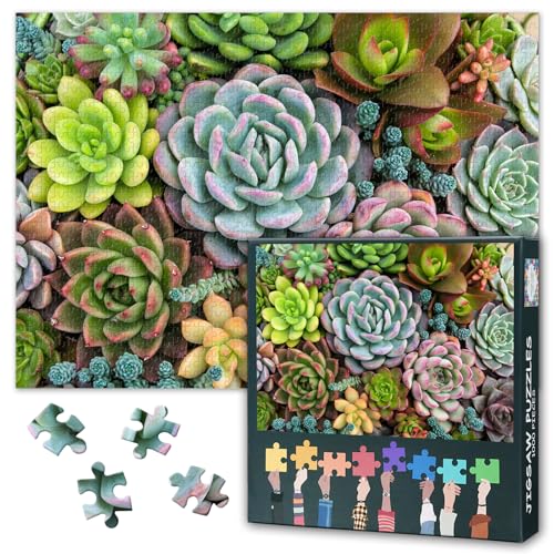 Kaktus Puzzles 1000 Teile, Puzzle Erwachsene, Fleischpflanzen 1000 Teile Puzzles für Erwachsene, 70 x 50cm Puzzle Impossible Geschicklichkeitsspiel für die Ganze Familie Kaktus Puzzles 1000 Teile, Puzzle Erwachsene, Fleischpflanzen 1000 Teile Puzzles für Erwachsene, 70 x 50cm Puzzle Impossible Geschicklichkeitsspiel für die Ganze Familie von TISHIRON