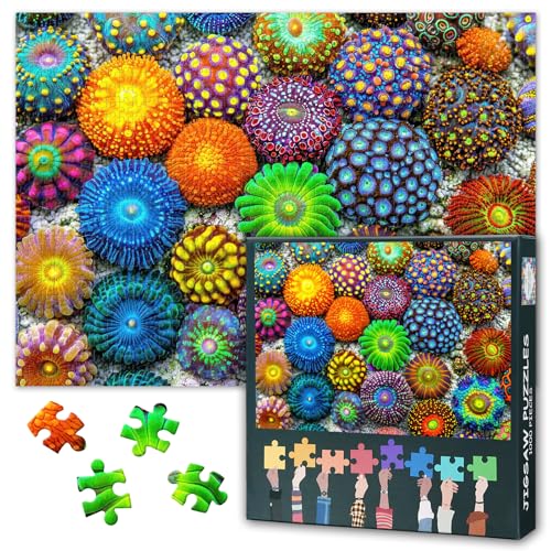 Korallenriff Puzzle 1000 Teile für Erwachsene - Zoanthus & Seeanemonen Unterwasserwelt, Premium Marine Puzzle 70x50 cm von TISHIRON