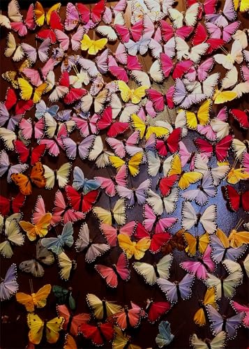Puzzle 1000 Teile Erwachsene, Farbiger Schmetterling Puzzles Erwachsene, Geschicklichkeitsspiel für Die Ganze Familie, Schmetterling Erwachsenen Puzzle ab 6 Jahre Fertige Größe 50x70cm Puzzle 1000 Teile Erwachsene, Farbiger Schmetterling Puzzles Erwachsene, Geschicklichkeitsspiel für Die Ganze Familie, Schmetterling Erwachsenen Puzzle ab 6 Jahre Fertige Größe 50x70cm von TISHIRON