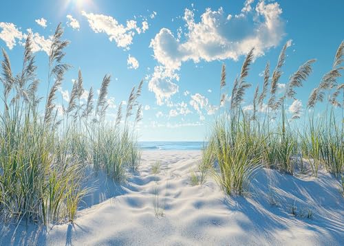 ‌Puzzles für Erwachsene 1000 Teile Küstendünen Mit Seegras Meerblick Landschaft Premium Papier Puzzle Naturtherapie Beruhigende Aktivität 70x50 cm von TISHIRON
