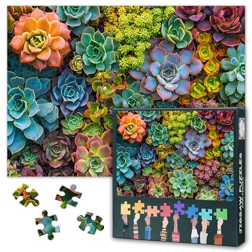 Saftige Garten 1000 Stück Puzzle für Erwachsene Saftige Pflanze Puzzle Familie Herausforderung Spiel geeignet für Spiel Nächte Die ideale Wahl für Jigsaw Puzzles Enthusiasten Größe: 50x70cm von TISHIRON