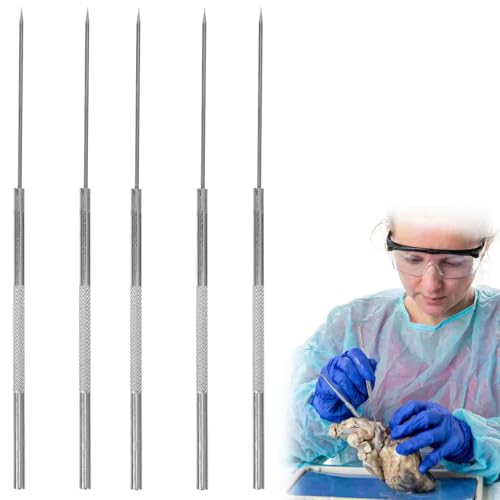 Edelstahl Dissektion Nadel,Dissektionsnadeln Entomologienadeln,Insektendissektionsnadel-Präparationswerkzeug,Werkzeuge für Insektenanatomie -Experimente,5 pcs Edelstahl Dissektion Nadel,Dissektionsnadeln Entomologienadeln,Insektendissektionsnadel-Präparationswerkzeug,Werkzeuge für Insektenanatomie -Experimente,5 pcs von TMRBBesty