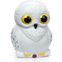 HP - Hedwig Pufflum HP - Hedwig Pufflum von Migrationsverlag CH