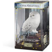Magical Creatures- Hedwig von TNC Noble Partners