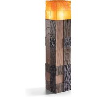 Minecraft Torch Collector von TNC Noble Partners