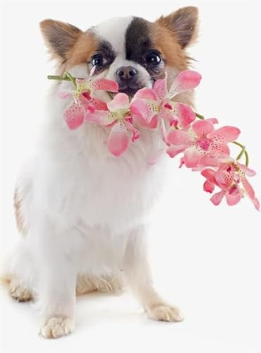 1000 Teile Hund mit Blumenpostern Puzzle Spaßspiel Spielzeug Lernspiel für Erwachsene Xq264Zp 26x38CM von TNTEVX