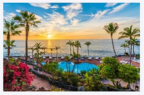 1000-teiliges Puzzle, Sonnenuntergang an der Küste von Adeje, Teneriffa, Spanien, für Erwachsene, Hobby, Heimdekoration, DIY, 50 x 70 cm 1000-teiliges Puzzle, Sonnenuntergang an der Küste von Adeje, Teneriffa, Spanien, für Erwachsene, Hobby, Heimdekoration, DIY, 50 x 70 cm von TNTEVX