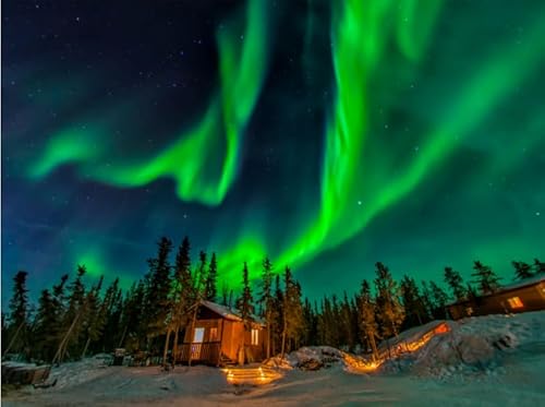 Aurora Borealis Poster Puzzle 1000 Teile Puzzle für Erwachsene Familiendekompressionsspiele Cw67Qy 26x38CM von TNTEVX